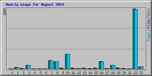 Hourly usage for August 2024